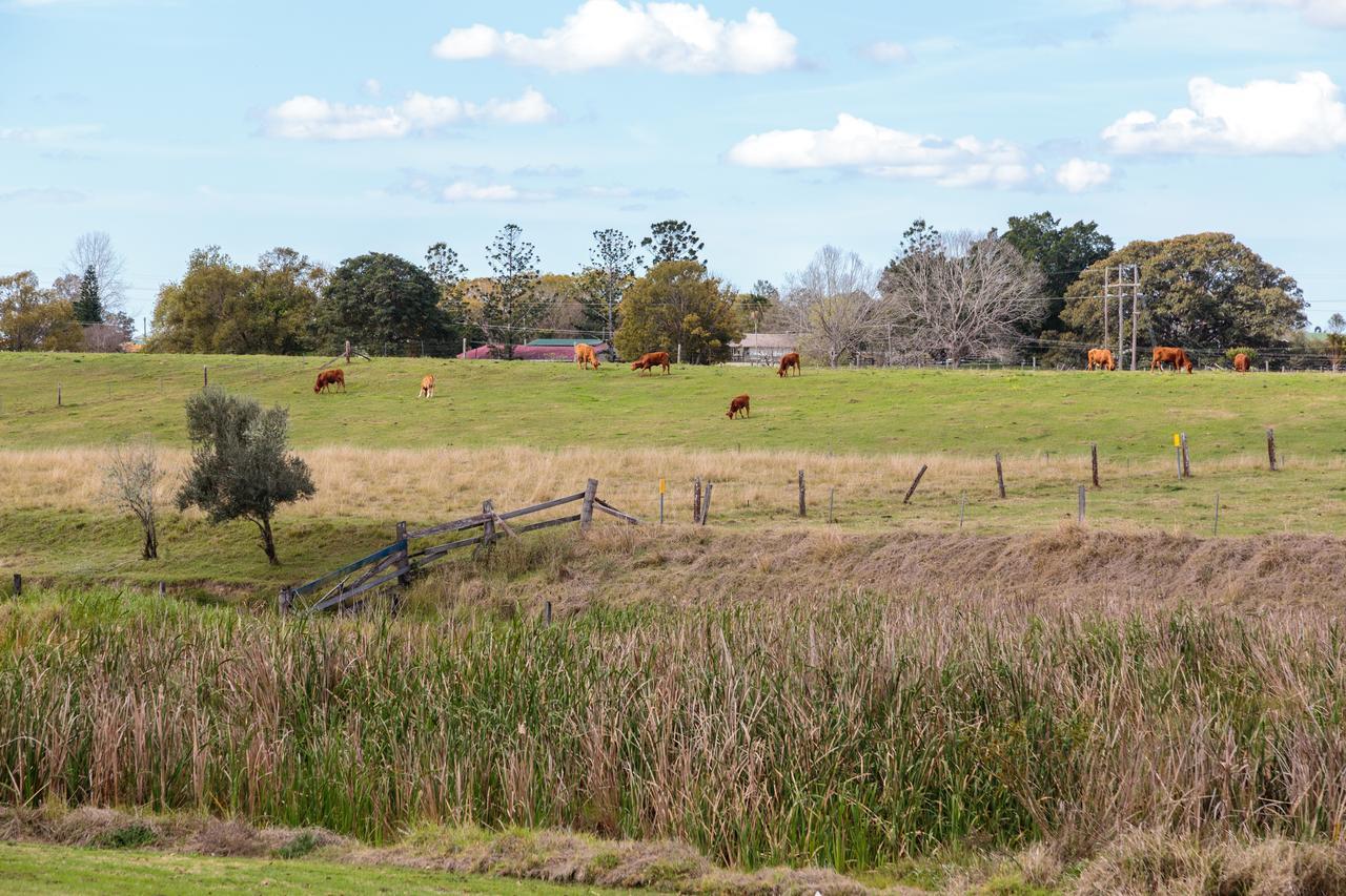 Grafton By Gateway Lifestyle Holiday Parks Buitenkant foto